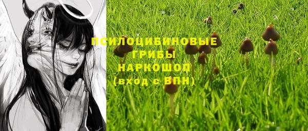 герыч Ельня